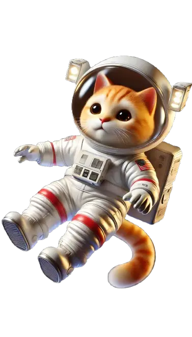 Gato espacial
